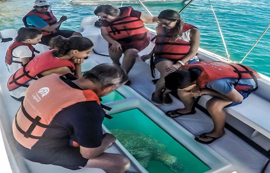 Glass Bottom Boat Ride