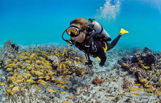 Scuba Diving in Havelock Island Swaraj Dweep 