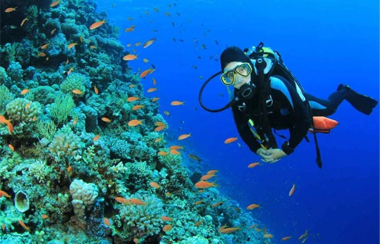 Scuba Diving in Neil Island Shaheed Dweep