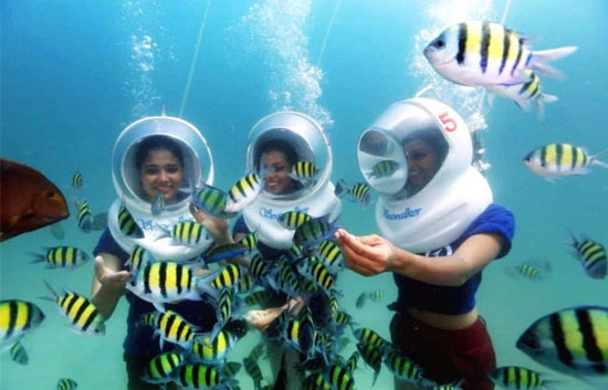 Underwater Sea Walk at Elephant Beach