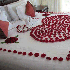 Flower Bed Decration in Andaman Hotel